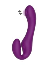 22805-11109_PURPLE_03_vibrator_couples_rabbit_sex_love_limassol_cyprus